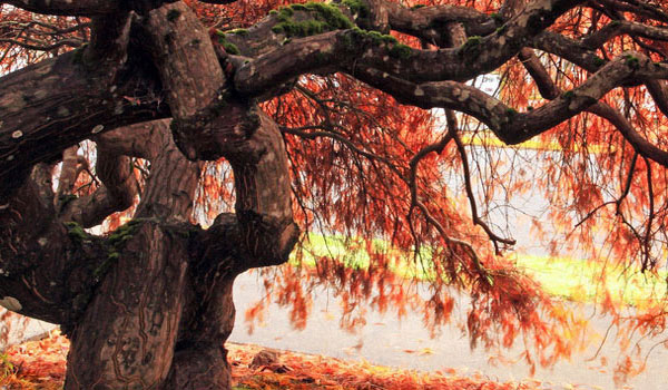 批发商城便宜的打电话打爆免费